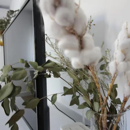 Appartement Pluma Y Espada *