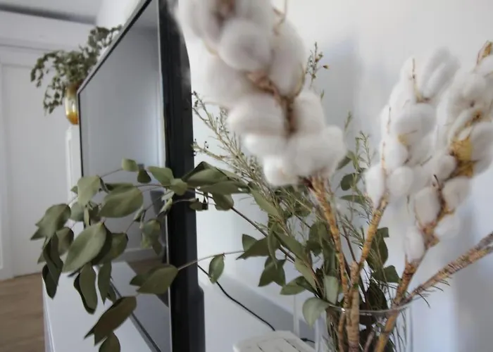 Apartment Pluma Y Espada *